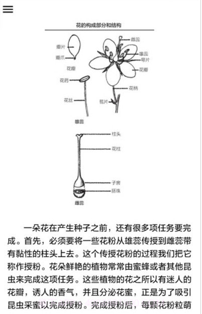 野外植物识别手册截图1
