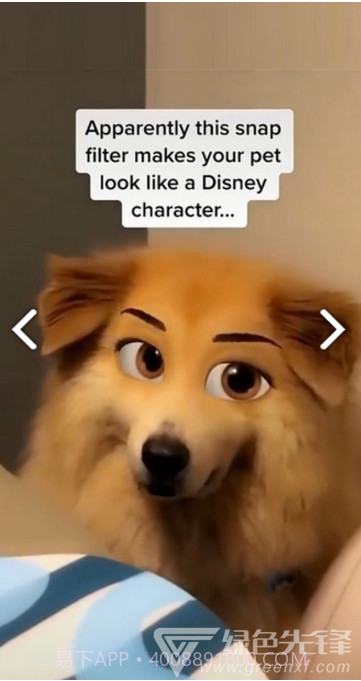 迪士尼滤镜(snapchat迪士尼滤镜)V1.1 安卓免费版截图1 迪士尼滤镜(snapchat迪士尼滤镜)V1.1 安卓免费版截图1