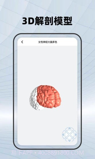 人体骨骼截图2 人体骨骼截图2