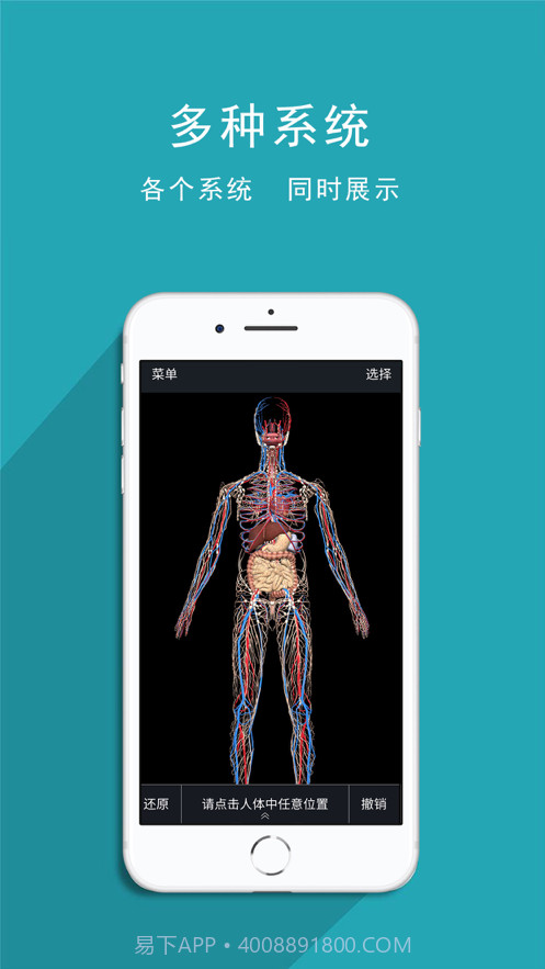 人体护理截图2 人体护理截图2