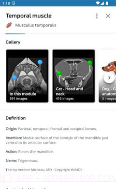 vet Anatomyv3.1.0截图1 vet Anatomyv3.1.0截图1