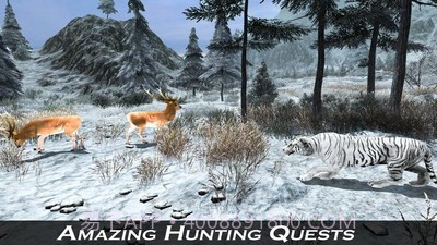 北极虎模拟器官方版截图4