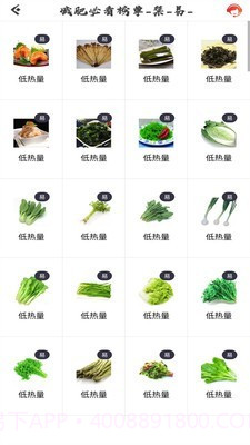 瘦瘦快减肥截图2 瘦瘦快减肥截图2