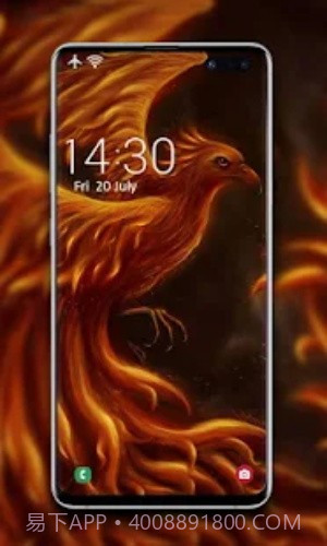 凤凰壁纸截图1 凤凰壁纸截图1