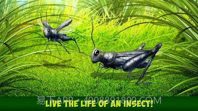 印度蝗虫模拟器汉化版截图2