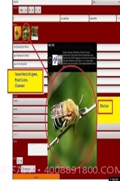 ABA自闭症教育截图3 ABA自闭症教育截图3