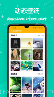 手机壁纸免费截图1 手机壁纸免费截图1