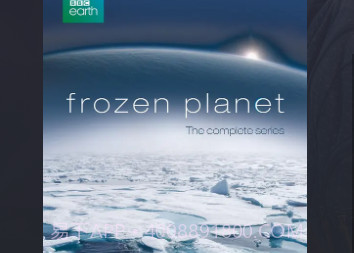 磁力熊截图3 磁力熊截图3