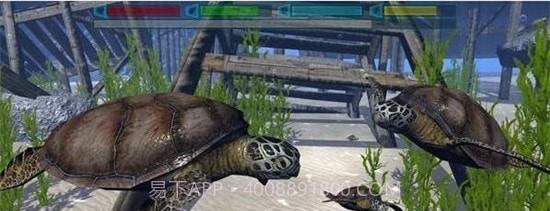 终极海豚模拟器截图3 终极海豚模拟器截图3