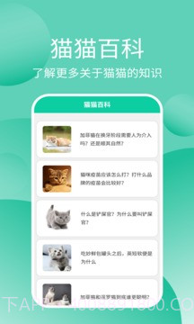 猫猫交流工具截图4 猫猫交流工具截图4