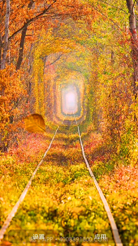 爱动态壁纸截图3 爱动态壁纸截图3