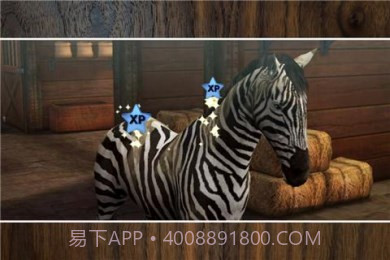 我的马儿截图2 我的马儿截图2