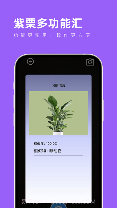 紫栗多功能汇截图1 紫栗多功能汇截图1