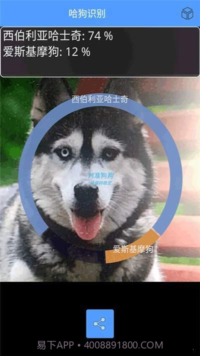 哈狗识别截图3 哈狗识别截图3