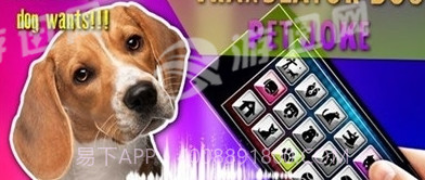 狗狗沟通交流器截图2 狗狗沟通交流器截图2