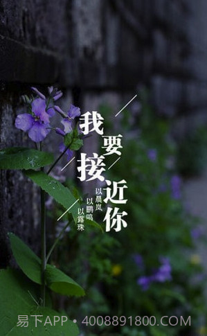 为你写诗(为你写诗软件下载)V3.3.9 截图3 为你写诗(为你写诗软件下载)V3.3.9 截图3