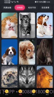 轻甜心截图2 轻甜心截图2