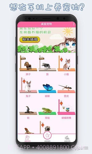 激萌猫咪桌面宠物截图1 激萌猫咪桌面宠物截图1