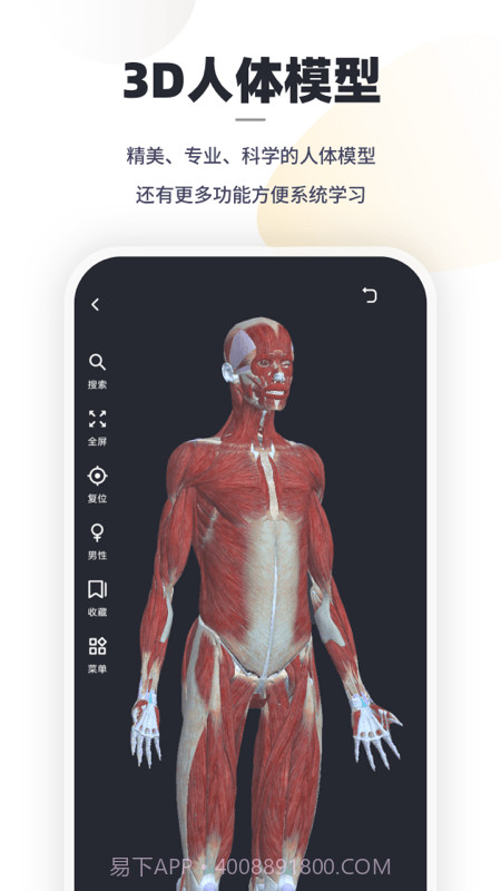 口袋解剖截图3 口袋解剖截图3