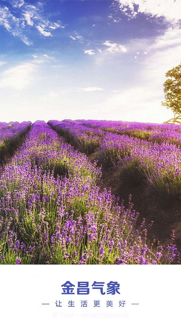 金昌天气预报截图1 金昌天气预报截图1
