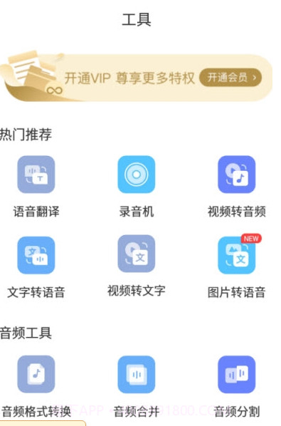 实时录音转文字助手（支持多种语言）截图3