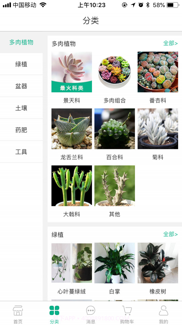 吾花肉截图2