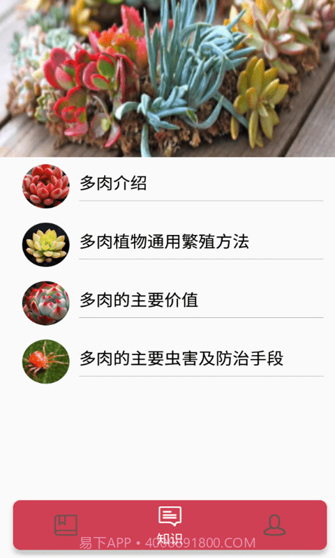 花草多肉日记截图2
