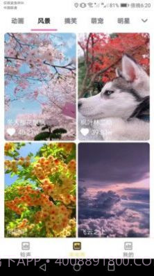 欢喜来电铃声截图3 欢喜来电铃声截图3