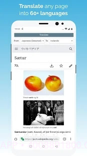 kiwi浏览器截图2 kiwi浏览器截图2