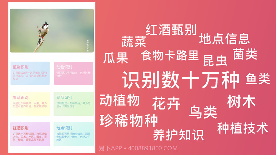 超强识别截图1 超强识别截图1