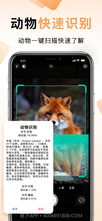 扫描王中王截图9