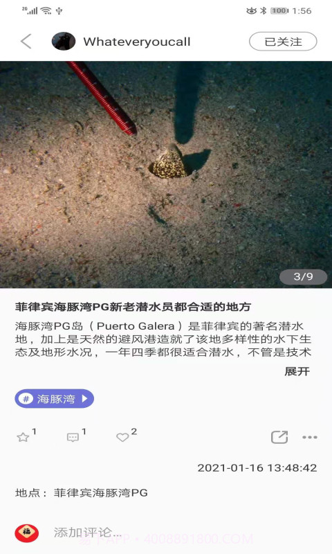 潜水指南MoreDive截图1