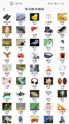 实用记忆训练截图3