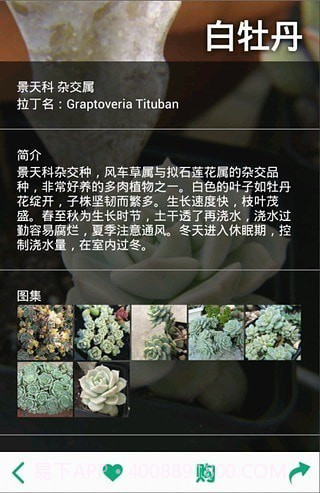 多肉植物截图3 多肉植物截图3
