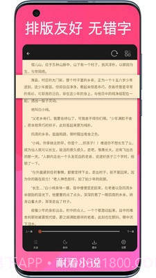 耐看小说截图3
