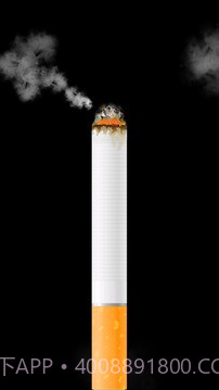 卷烟模拟器截图4 卷烟模拟器截图4