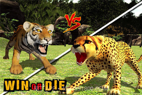 丛林动物模拟器截图2