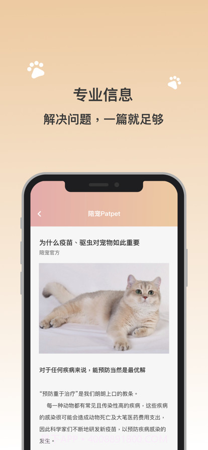陪宠截图3 陪宠截图3