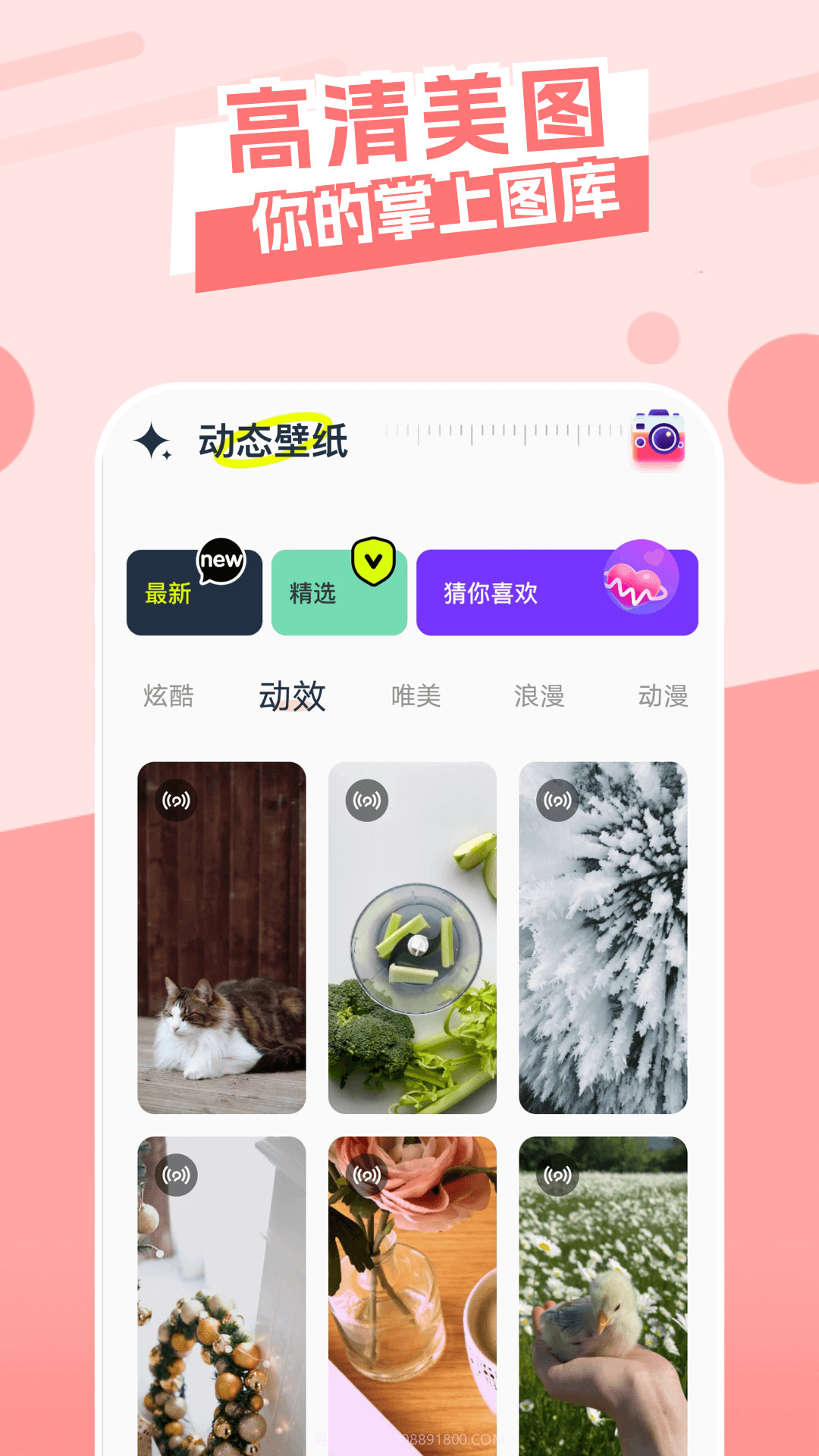 主题库顺来截图2