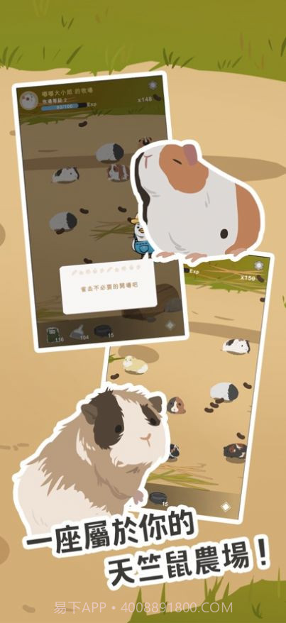天竺鼠农场截图2 天竺鼠农场截图2