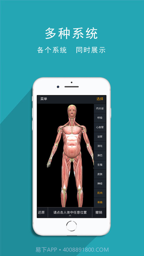 人体护理截图3 人体护理截图3