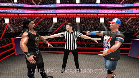 摔跤战斗巨变3D截图4