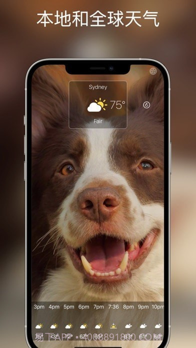 狗天气直播截图4