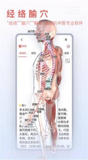 运动功能解剖教学系统截图1