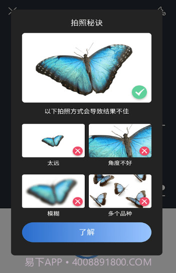 昆虫识别图鉴扫一扫截图2