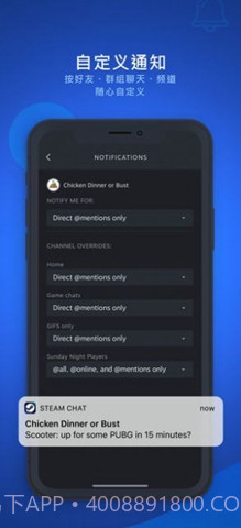 steam chat免费版截图1