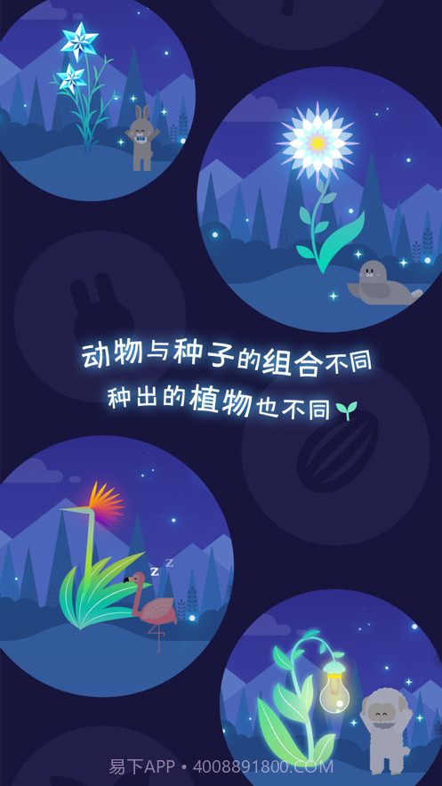 夜之森治愈的植物养成截图4 夜之森治愈的植物养成截图4