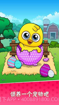 我的宠物小黄鸡截图1 我的宠物小黄鸡截图1