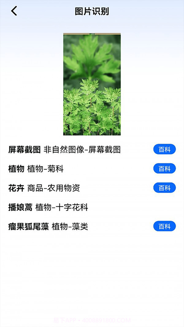 神农百草园识别截图2 神农百草园识别截图2