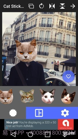 猫头贴纸截图4 猫头贴纸截图4